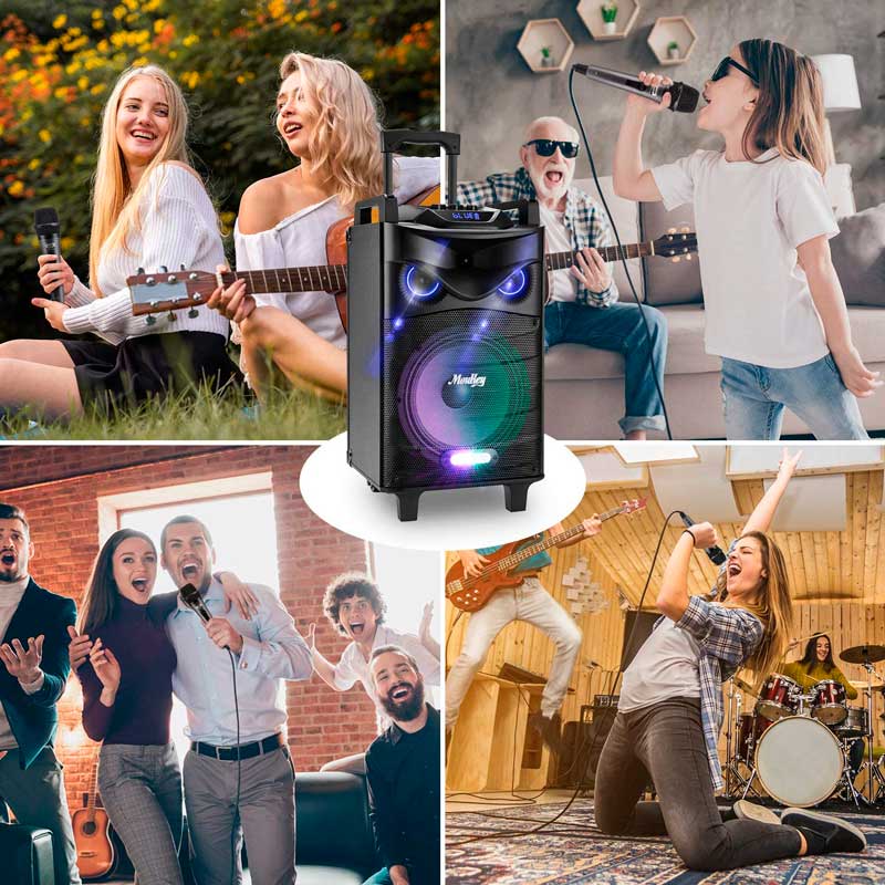 fiesta karaoke con parlantes de karaoke